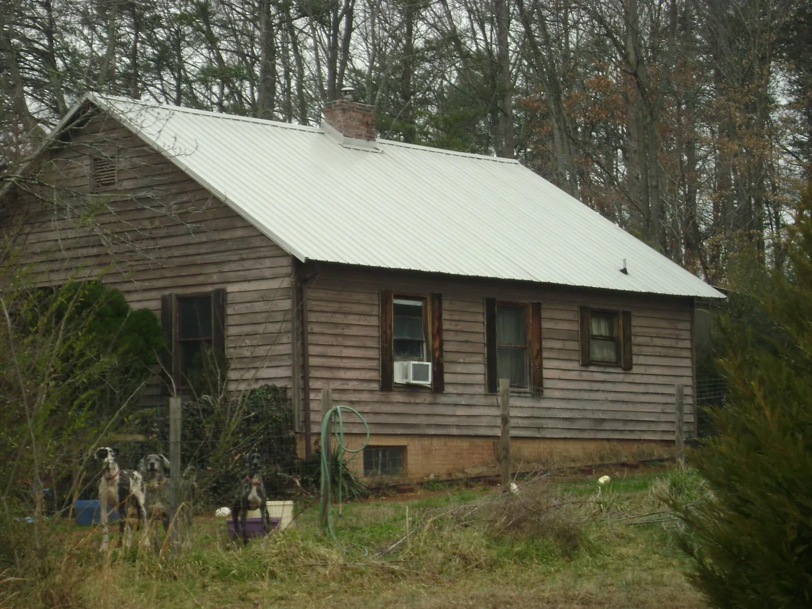 White metal roof on an old wood sided farmhouse, from a Metal Roof Installation job in Lyons